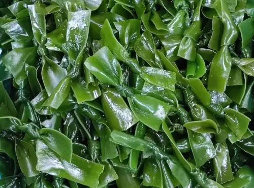 海帶為什麼要打結？菜販公布原因太聰明　6.3萬人秒喊：長知識了
