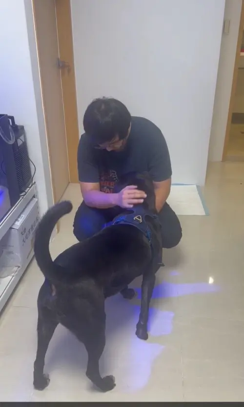 帥帥開心投入新主人的懷抱當中。(圖/新北動保處) ▲帥帥開心投入新主人的懷抱當中。(圖/新北動保處)