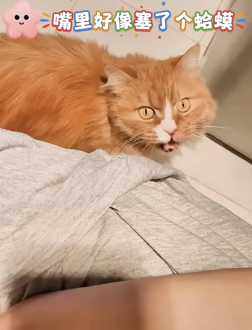 ▲(圖/翻攝自YT) ▲(圖/翻攝自YT)