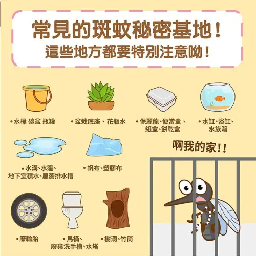 ▲疾管署籲請民眾加強家戶內外環境巡檢,落實「巡、倒、清、刷」,減少病媒蚊孳生。(圖/疾管署) ▲疾管署籲請民眾加強家戶內外環境巡檢,落實「巡、倒、清、刷」,減少病媒蚊孳生。(圖/疾管署)