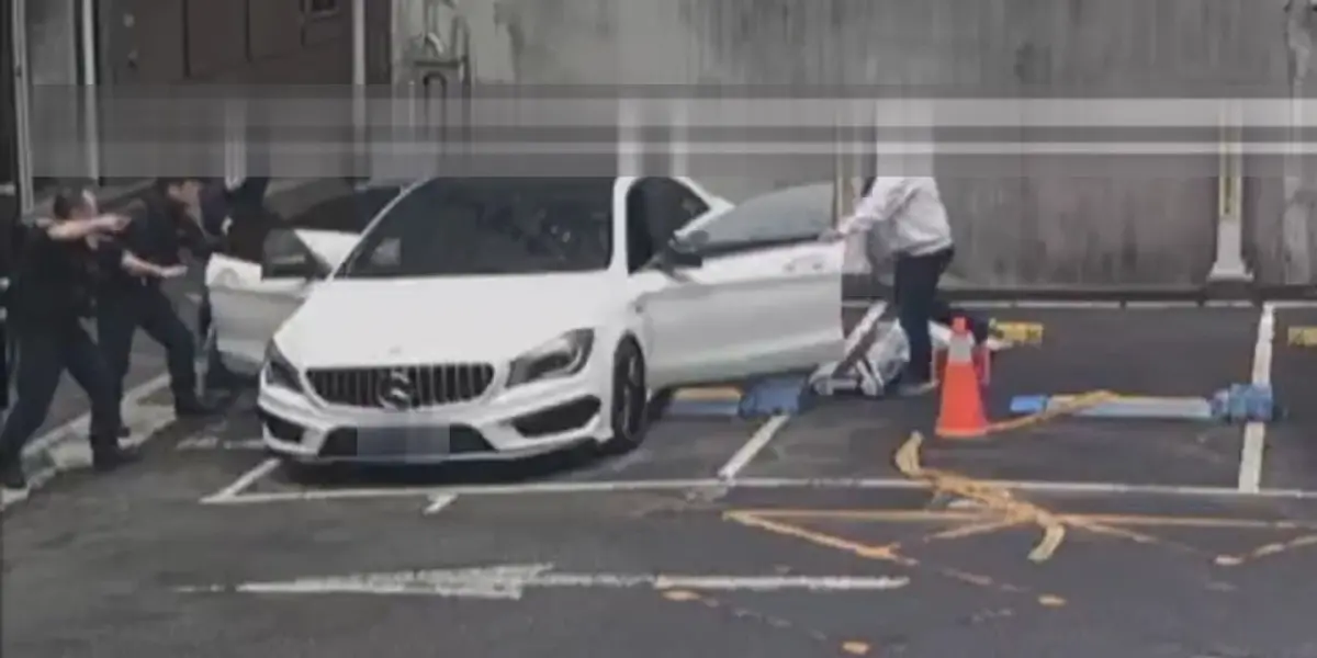 ▲台北市刑大追捕假冒「柴鼠兄弟」的投資詐欺集團。（圖／警方提供）