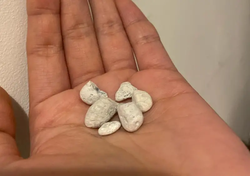 ▲牛仔褲口袋找到「6顆小石頭」讓民眾相當不解，過去就有服飾廠商公布發生原因，讓一票人大長知識。（圖／翻攝Threads）