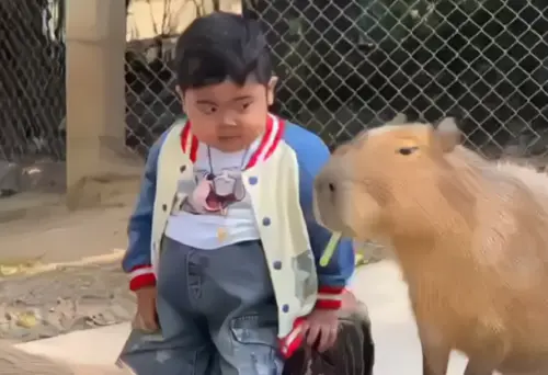 整趟旅程結束之後,奧特卻變了心,更喜歡0距離接觸過的水豚君。(圖/IG@khamoo.andthegang) ▲整趟旅程結束之後,奧特卻變了心,更喜歡0距離接觸過的水豚君。(圖/IG@khamoo.andthegang)