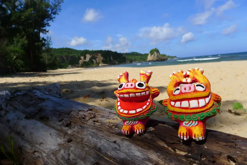 ▲星宇航空台北/台中-沖繩航線增為每週10班。（圖／業者提供）