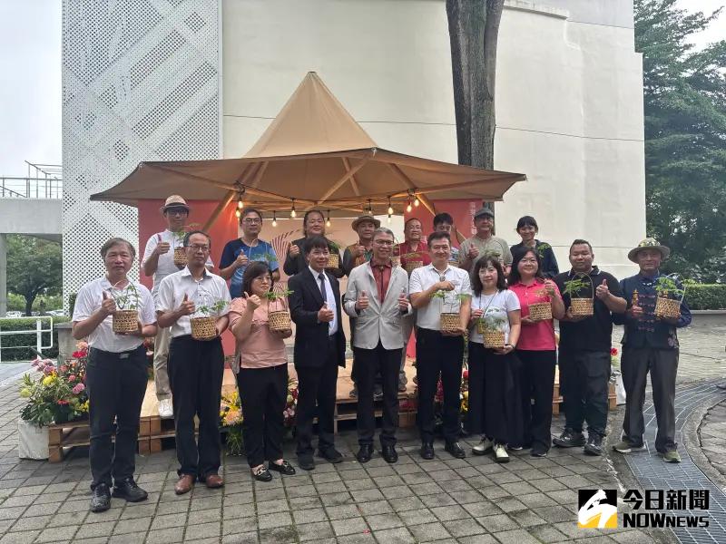 ▲去年倒伏的鳳凰老樹長出新樹苗，中心分散大家象徵生生不息。（圖／記者金武鳳攝，2025.6.5)