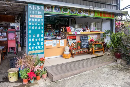 八卦茶園(圖/新北市觀光旅遊網) ▲八卦茶園(圖/新北市觀光旅遊網)