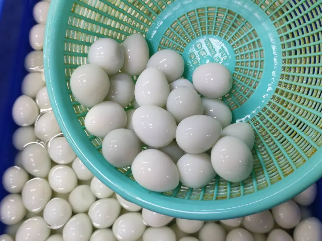 ▲菜市場裡面賣的鳥蛋（鵪鶉蛋）為什麼總要泡在水裡賣？老闆解答是為了隔絕空氣，保持新鮮。（圖／廖炯程臉書）