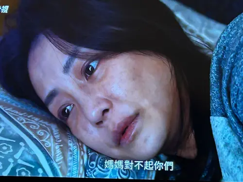 ▲謝欣穎憔悴模樣和過去形象差很大。(圖/翻攝自公視) ▲謝欣穎憔悴模樣和過去形象差很大。(圖/翻攝自公視)