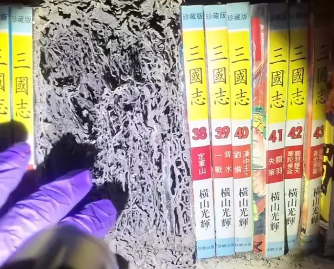 白蟻大軍開始入侵了！三國志漫畫被吃成「空城計」　驅蟲專家傻眼
