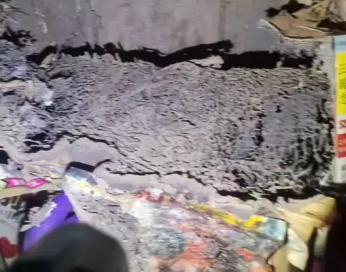 ▲三國志漫畫內部已經通通被白蟻啃食光光。（圖／中太企業行授權使用）