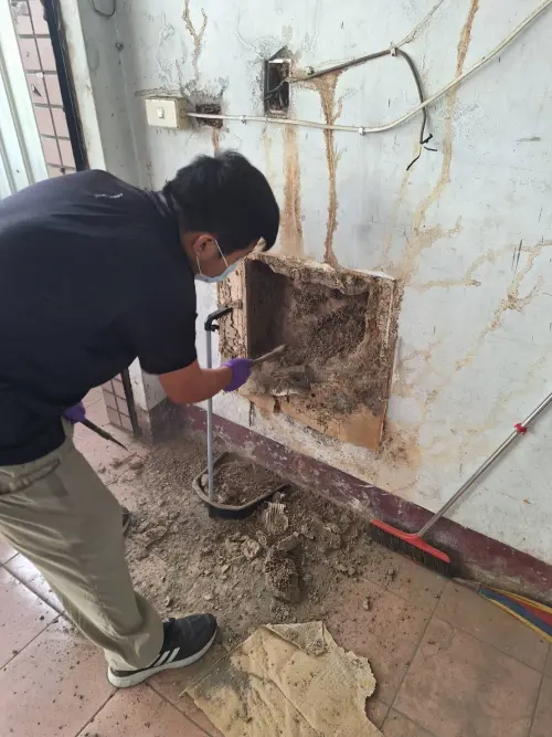 ▲柯老闆認為，比起一般木製家具被白蟻吃的情況，更危險的反而是白蟻入侵電路，他曾經看過客戶家中的電源總開關被白蟻入侵築巢。（圖／中太企業行授權使用）