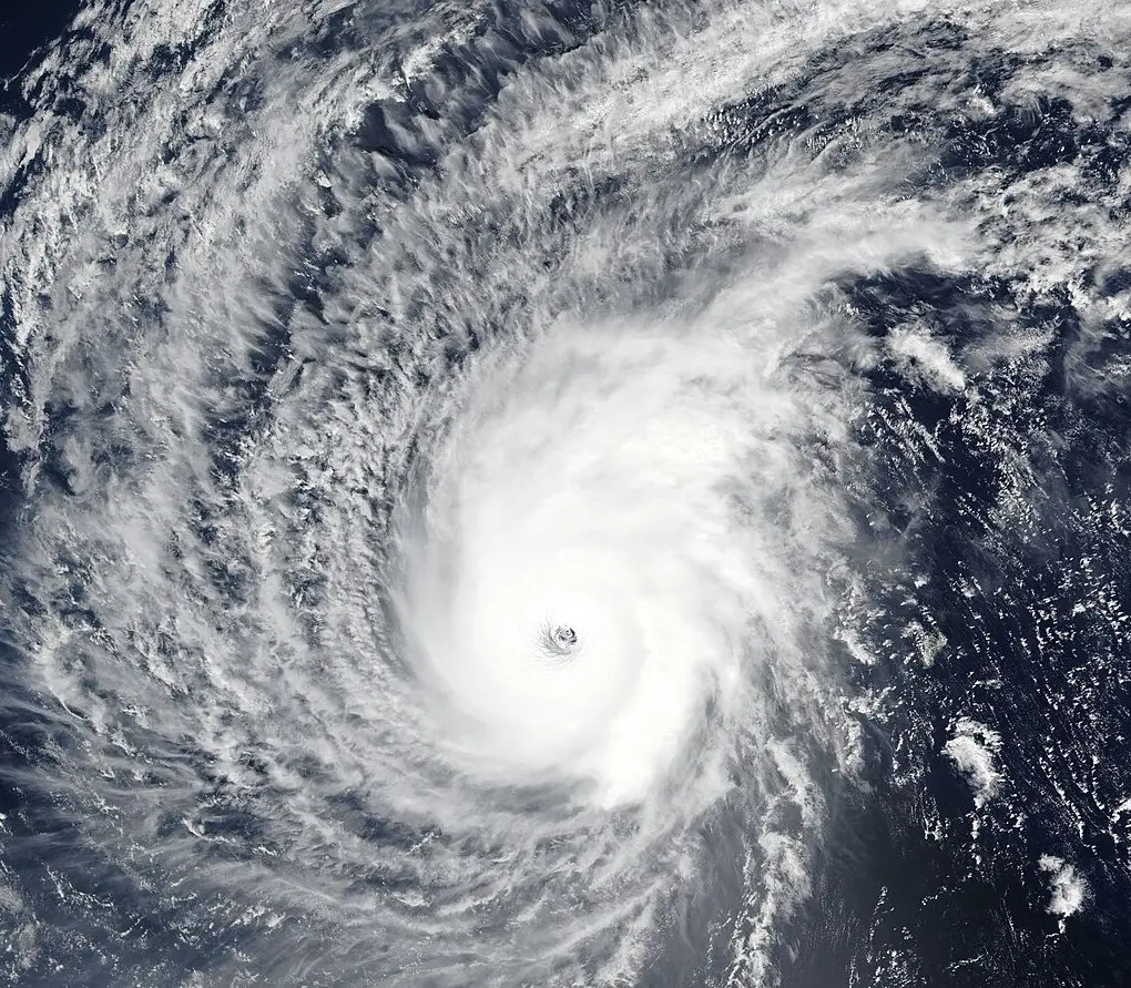 ▲歷史上曾出現過4個「蝴蝶颱風」，其中2007年的蝴蝶曾登陸台灣。（圖／維基百科）