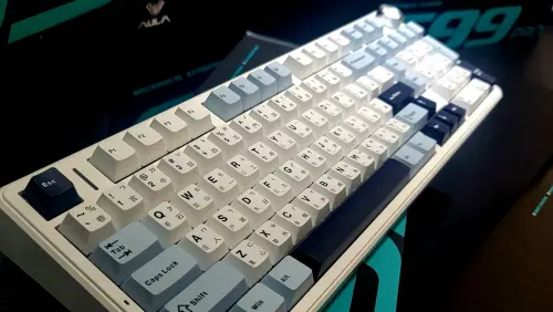 不用買水貨了！最夯機械鍵盤「狼蛛」強勢登台　原廠直接保固兩年
