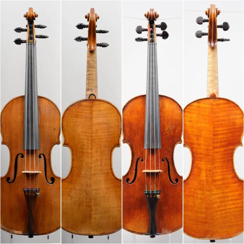 ▲英商賣給張鎮洲兩把小提琴:「Joseph Gag-liano Naples c1800」(左一正面、左二背面)、「Carlo Ferdinando Landolfi, Milan 1762」(右二正面、右一背面)。(圖/Florian Leonhard提供)