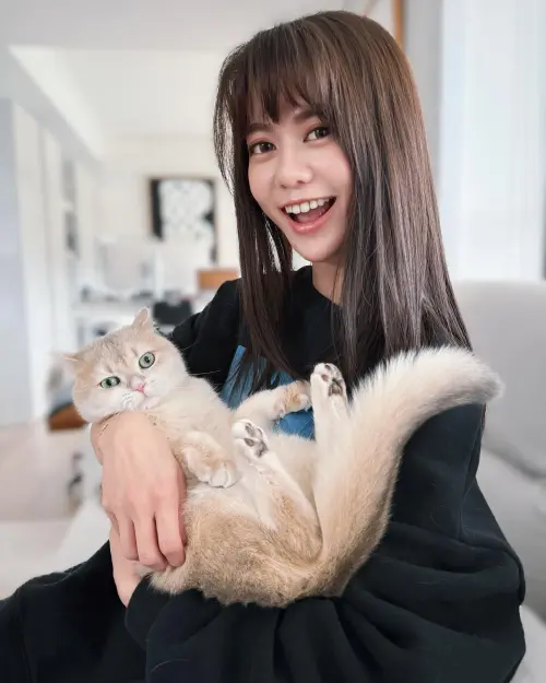 ▲白癡公主近年來不斷轉型，推出眾多新系列影片，讓頻道主題更加多元化。（圖／白癡公主臉書）