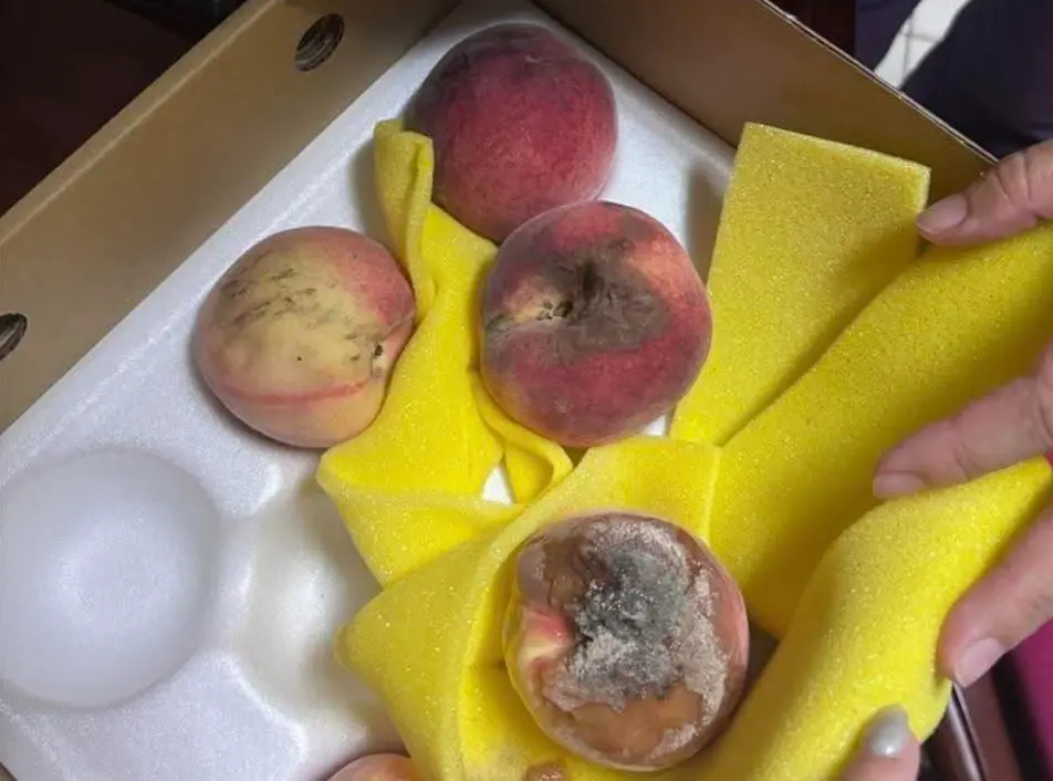 ▲近期有民眾前往拉拉山，以為在當地能夠買到最新鮮漂亮的水蜜桃，掏出1200元購買兩大盒回家，結果回家一開箱竟發現水蜜桃幾乎都外皮發黑，甚至還有嚴重發霉的。（圖／翻攝Threads）