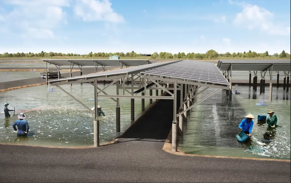 ▲Lightsource bp來到台灣嘉義布袋推動漁電共生，今年6月即將動土，並將在2026年提供115MW的光電，每年供電家戶數量可達4.1萬戶。圖為完工模擬圖。（圖／Lightsource bp）