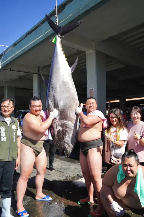 來自日本的「錣山部屋」相撲力士們一早來到東港魚市場,挑戰搬運大尾黑鮪魚 ▲來自日本的「錣山部屋」相撲力士們一早來到東港魚市場,挑戰搬運大尾黑鮪魚。(圖/屏東縣府提供)