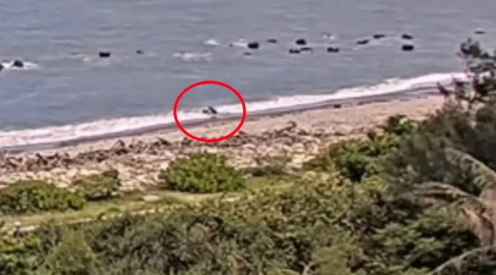 ▲警方調閱監視器，發現女子在化仁海堤與男子發生肢體衝突，女子疑似被打暈遭拖行丟入海裡。（圖／翻攝畫面）