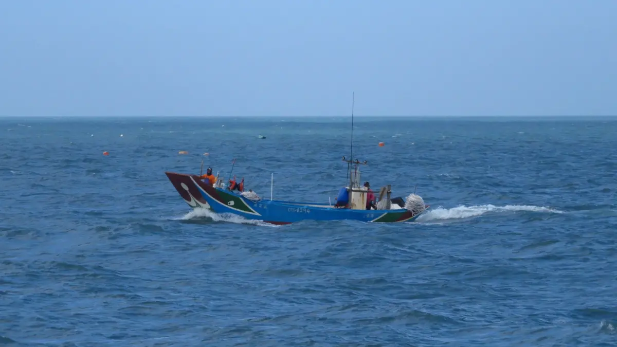 ▲新北市淡水區為魩鱙漁業主要產地。（圖／新北市漁業處）