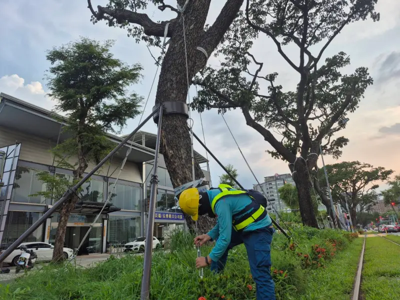 ▲高市捷運局未雨綢繆，積極強化輕軌沿線防颱整備作業。（圖／高市府捷運局提供）