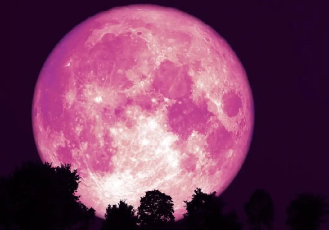 ▲2025年6月11日別錯過，今晚又大又圓的「草莓月亮」將升空，高度還非常接近地面。（示意圖／取自pixabay）