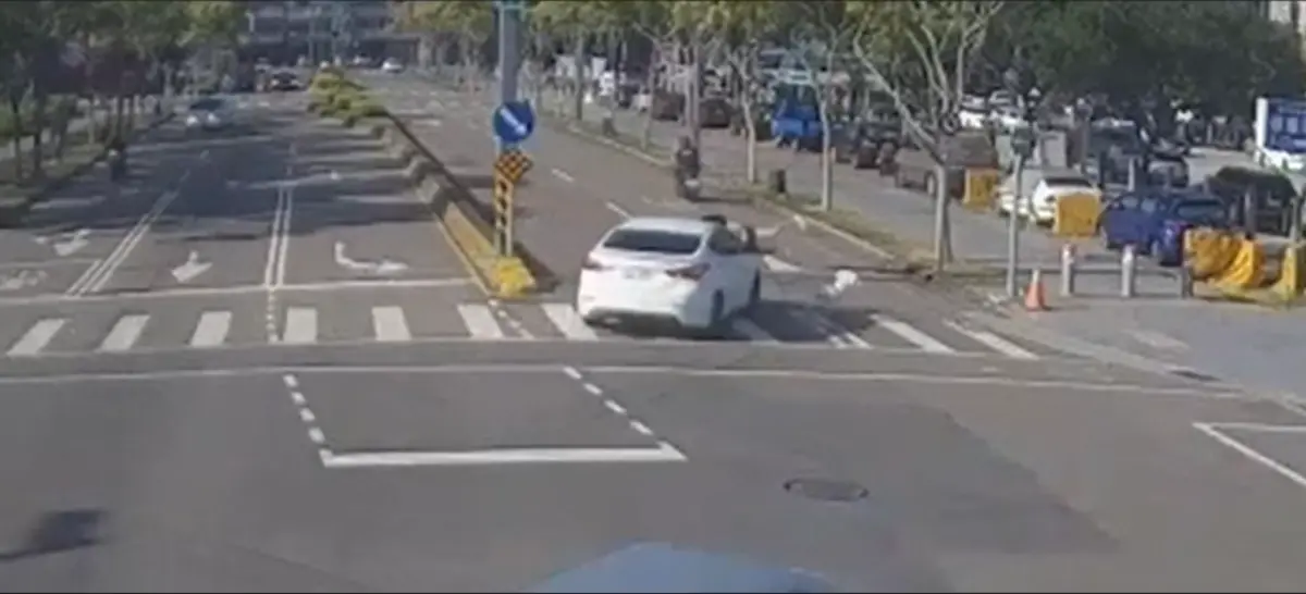 ▲肇事汽車駕駛撞上行人穿越道的25歲女子與柴犬。（圖／警方提供）