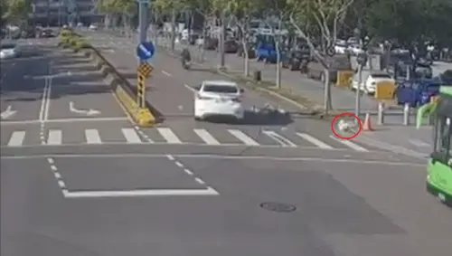 25歲女遛狗遇「行人地獄」!肇事婦下大夜撞飛飼主、柴柴一度失聯 ▲馮姓女子的柴犬一度失聯,友人為此上網協尋,後來確認柴犬已平安回家。(圖/警方提供)