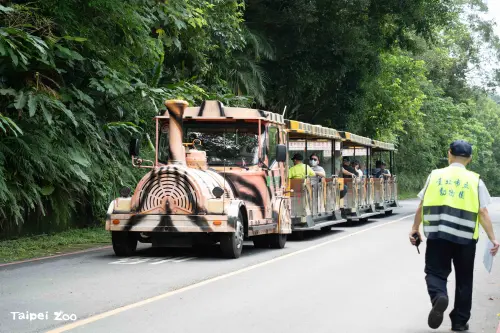 ▲北市動物園不對外開放期間也將進行遊客列車事故演練。