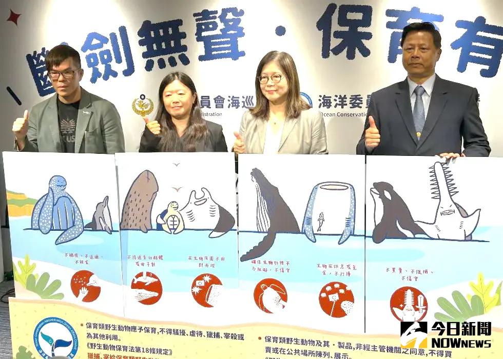 ▲海洋委員會海洋保育署與海岸巡防署聯手查緝非法販售鋸鰩產製品，以展現守護海洋生態之決心與執行力。(圖／記者黃守作攝，2025.06.11)