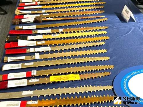 ▲海洋保育署與海岸巡防署聯手查緝非法販售鋸鰩產製品。(圖/記者黃守作攝,2025.06.11) ▲海洋保育署與海岸巡防署聯手查緝非法販售鋸鰩產製品。(圖/記者黃守作攝,2025.06.11)