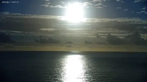 ▲真正的月光海，就在今晚看到了！（圖／東部海岸國家風景區管理處）