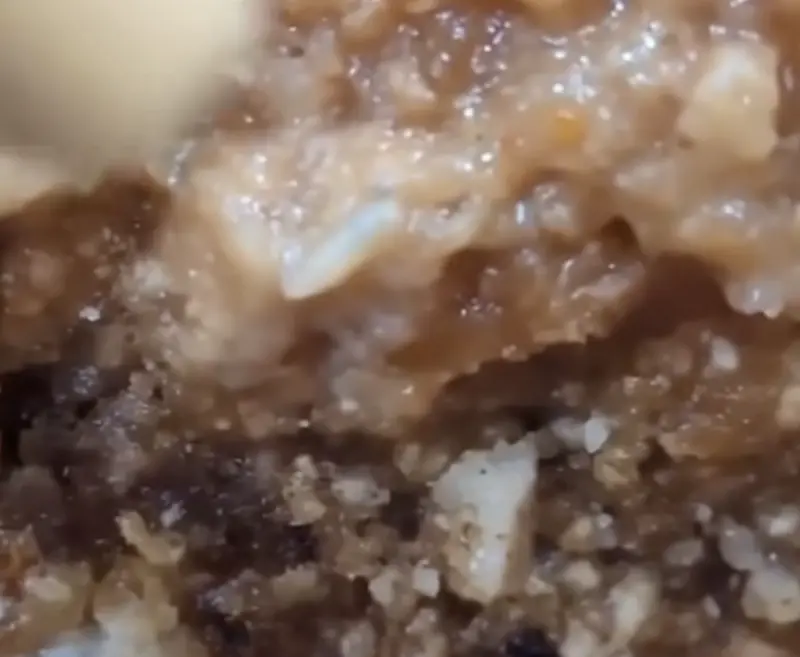 ▲一名網友爆料，日月光中壢廠的員工餐中，雞排竟有蛆在上面蠕動，相當噁心。（圖／翻攝黃瓊慧臉書）