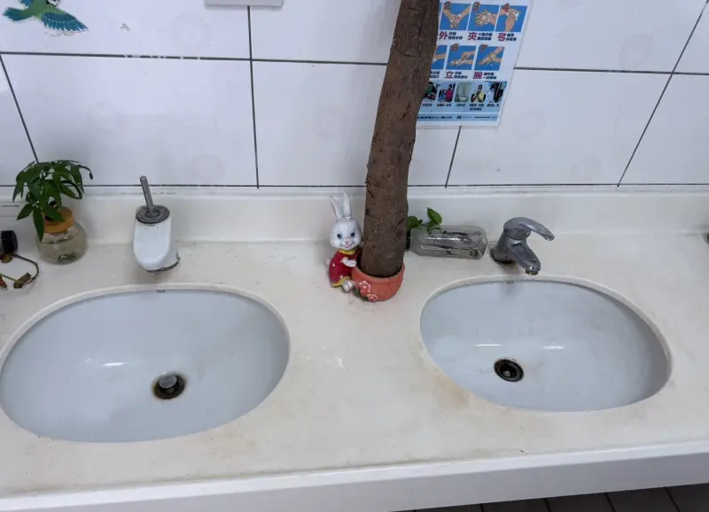 聊天太吵遭制止！台中2私校生廁所伏擊老師　痛下狠手樹幹打到斷