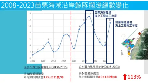 ▲中華鯨豚協會統計，離岸風電設置後，鯨豚擱淺數量變化，以苗栗海域為例。（圖／中華鯨豚協會提供）