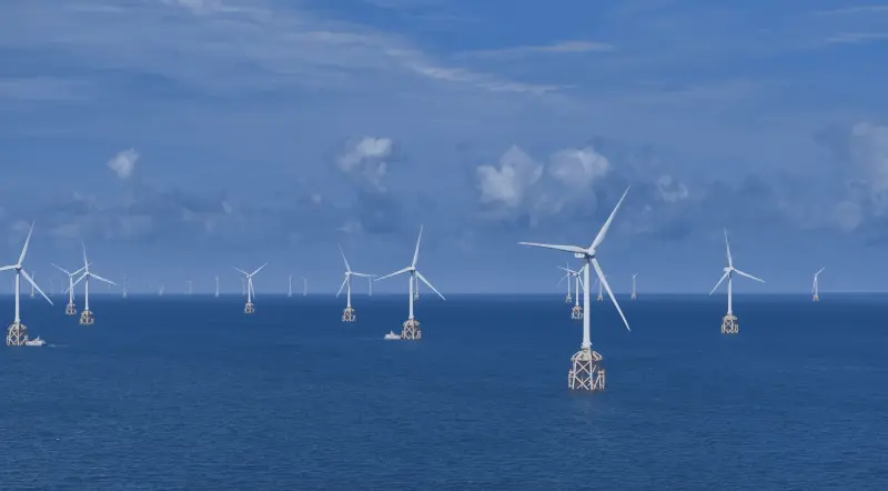 血色海灣5／鯨豚保衛戰　澳洲、美國環團槓離岸風電