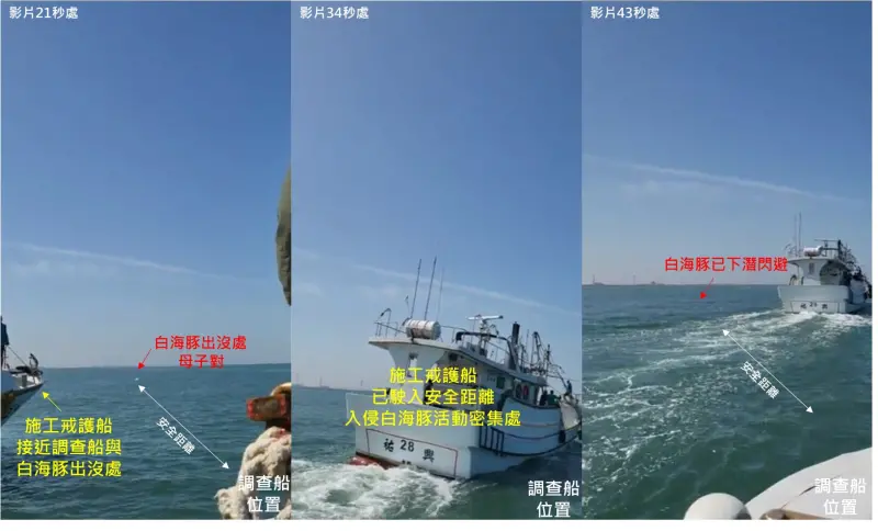 2025年4月14日環團出海，直擊一艘戒護漁船迫近白海豚，海保署已介入調查。（圖／台灣媽祖魚保育聯盟提供）