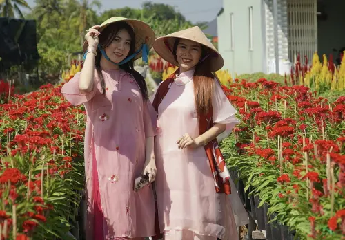 ▲越南同塔省成為當地的旅遊新星。（圖／翻攝自VN Express）