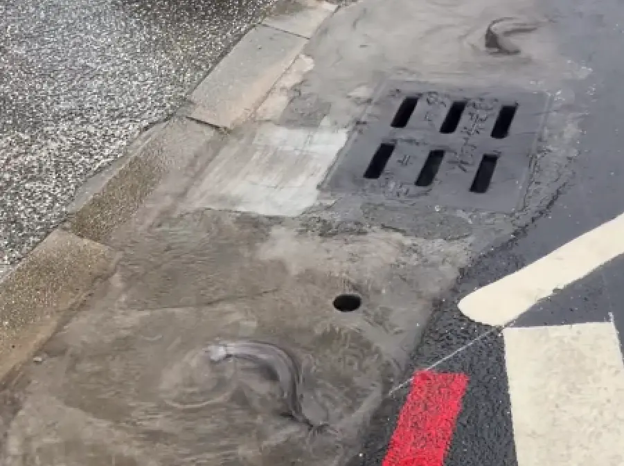 ▲受到蝴蝶颱風外圍環流及熱帶低壓影響，高雄今日上午通勤時段迎來強烈雷陣雨，不少通勤族狼狽哀嚎，甚至有人在市中心看到水溝蓋上冒出土虱。（圖／翻攝自Threads）