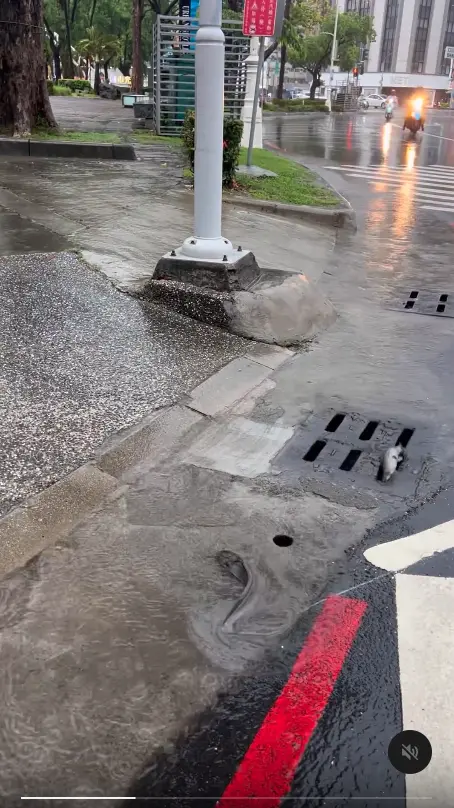 ▲(圖/翻攝自Threads) ▲(圖/翻攝自Threads)