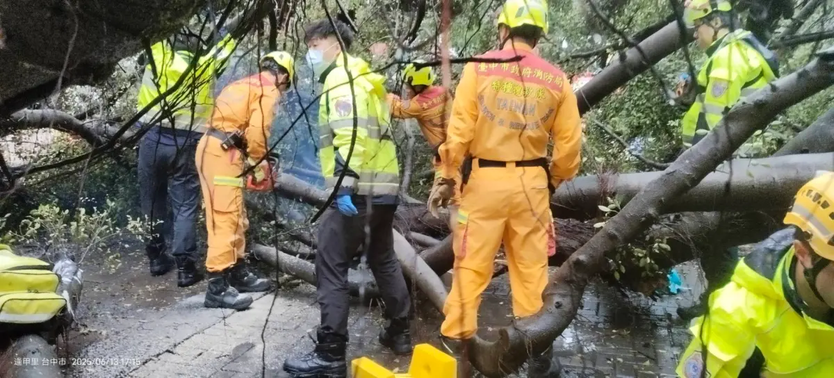 ▲逢甲大學校園一棵大榕樹傍晚倒塌，消防局人員現場鋸樹搶救受困學生（圖／翻攝畫面，2025.06.13）