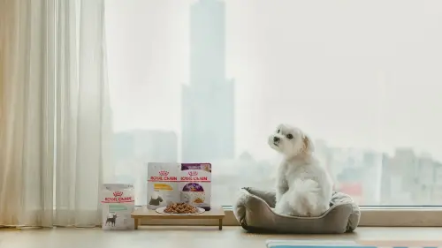 ▲高雄中央公園英迪格酒店推出「INtopia英托邦寵物友善住房」。(圖/高雄中央公園英迪格酒店提供) ▲高雄中央公園英迪格酒店推出「INtopia英托邦寵物友善住房」。(圖/高雄中央公園英迪格酒店提供)
