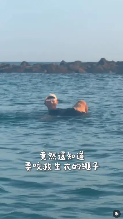 ▲（圖／翻攝自Threads＠pekojujuu）