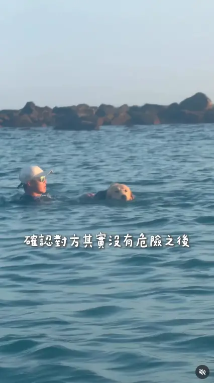 ▲（圖／翻攝自Threads＠pekojujuu）