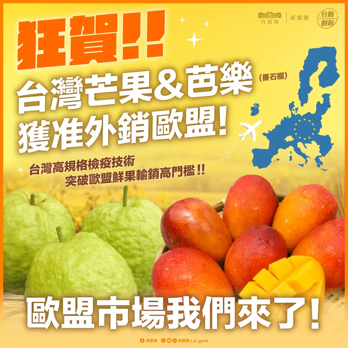 ▲卓榮泰表示，歐盟對果實蠅寄主鮮果實限制非常嚴格，這代表台灣的檢疫技術與控管病蟲害的能力。（圖／卓榮泰臉書）