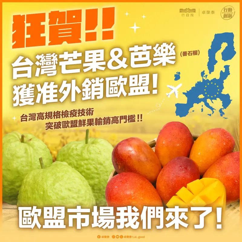 芒果、芭樂獲准外銷歐盟！卓榮泰喊好消息：讓台灣水果世界飄香