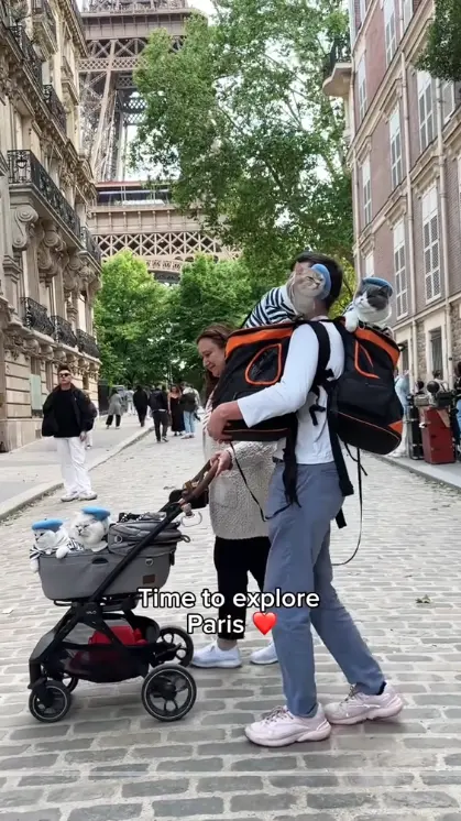 ▲（圖／翻攝自TiTok）