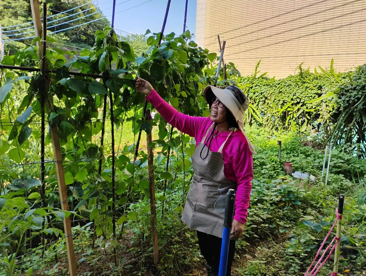 ▲文山資源回收環境教育園區推出「環保農園」，開放市民免費承租，體驗5個月的耕作(圖／環保局提供2025.6.16)