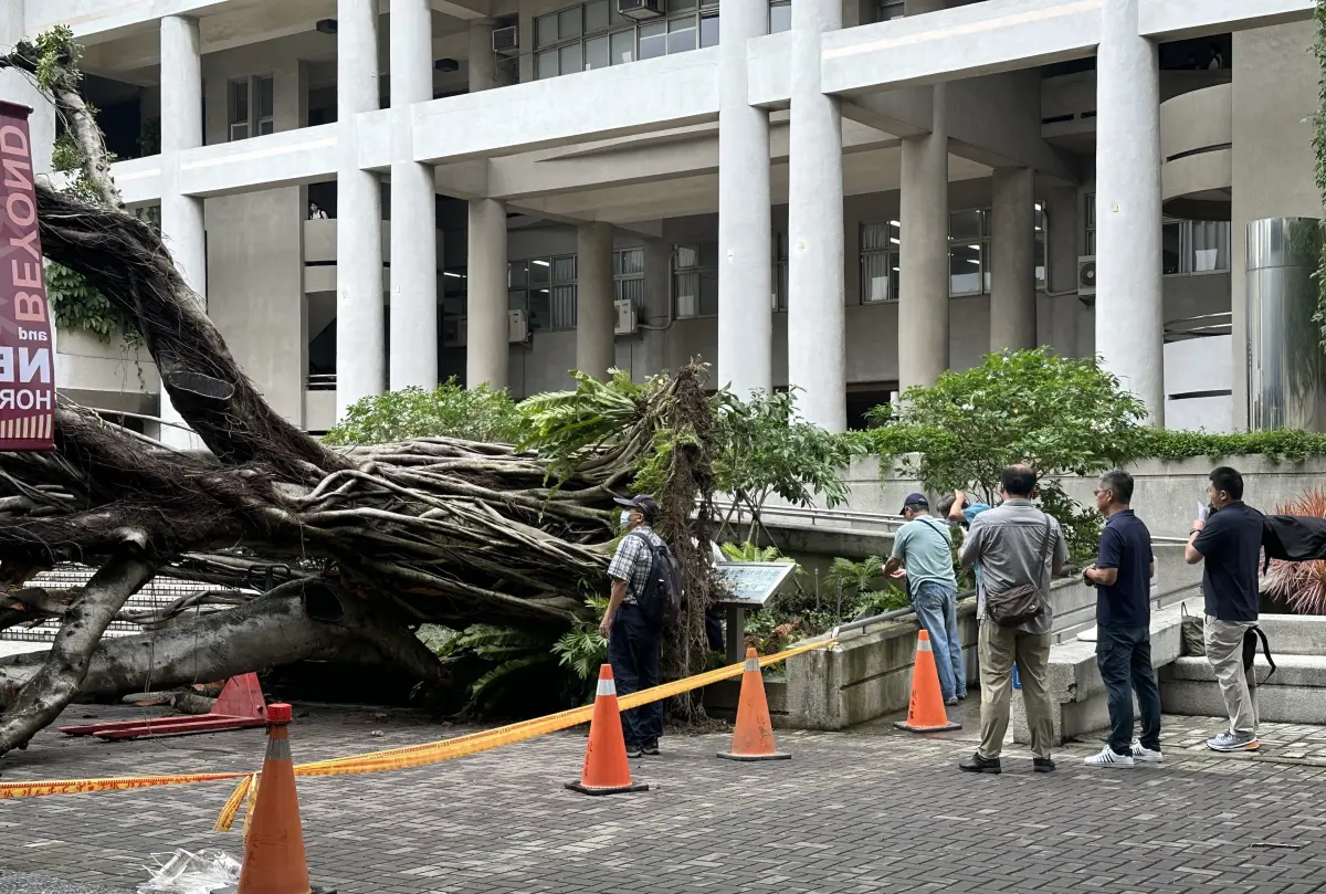 ▲台中地檢署會同農業部林業試驗所4大領域的專家，親臨逢甲大學榕樹壓死學生的現場勘查。（圖／讀者提供，2025.06.16）