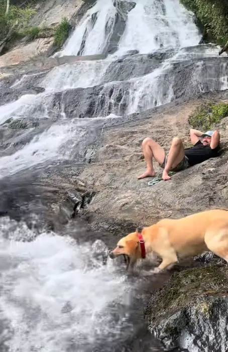 ▲（圖／翻攝自TikTok）